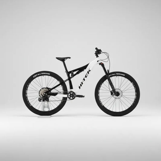 INVICTUS FS MTB R29